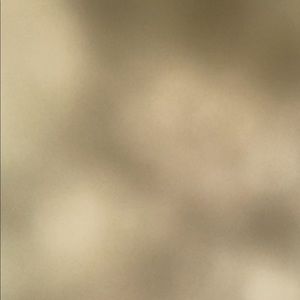 Meet your Posher, Allyson